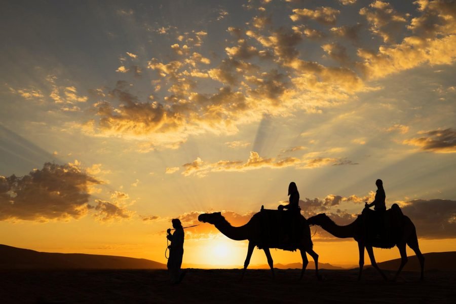 Camel Riding Experience