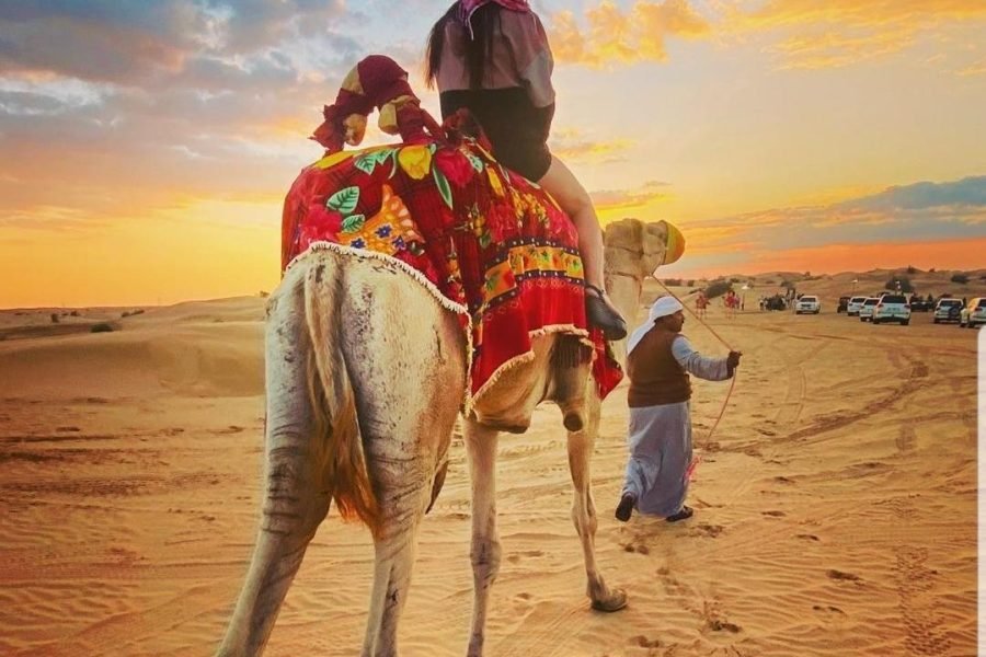 Dubai Desert Safari Experience