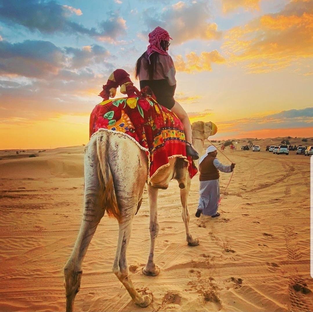 Dubai Desert Safari Experience