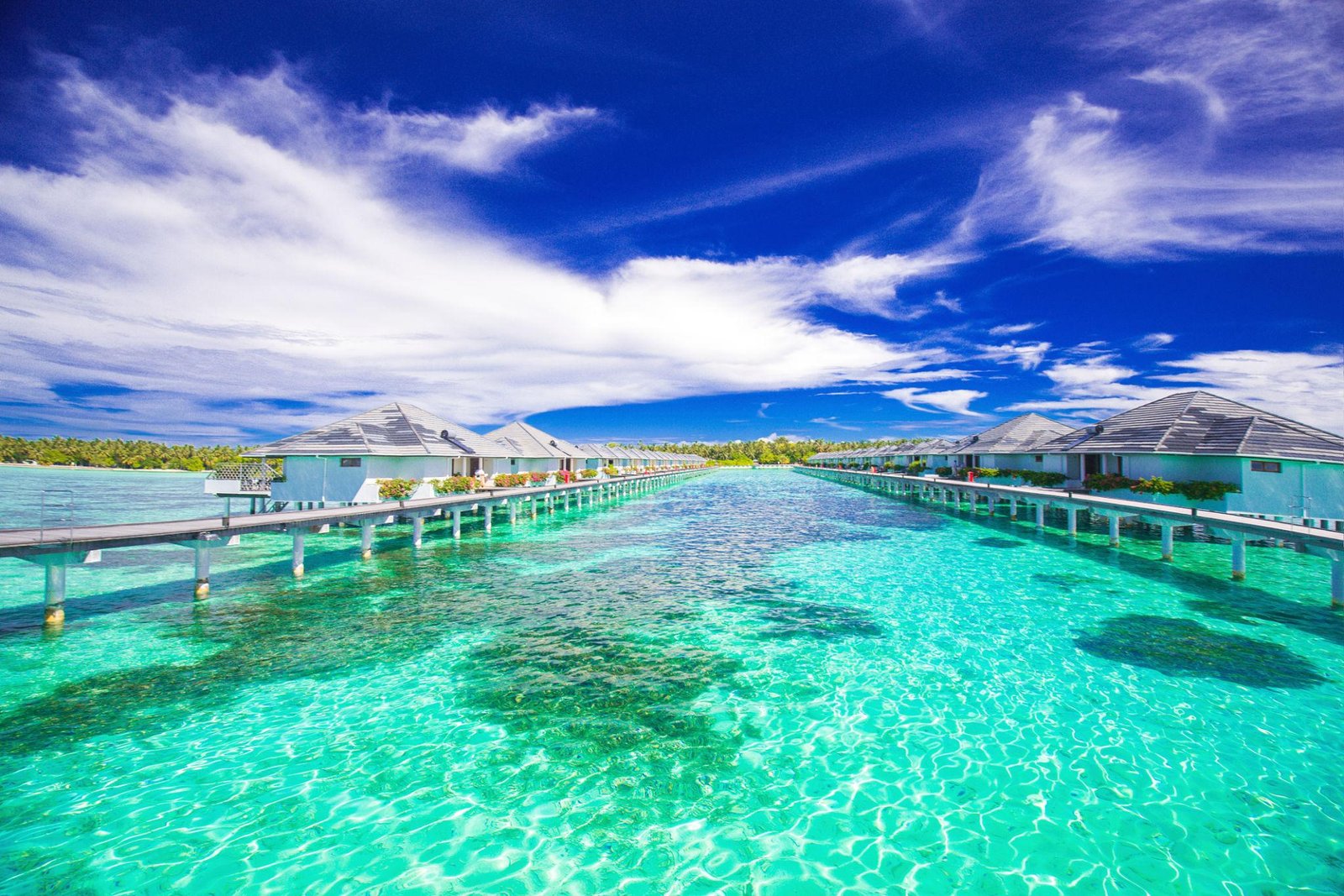 JetSetter Travel Hub